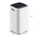 Kesnos 2500 Sq. Ft Dehumidifier for Home - Drain Hose, 0.6 Gallon Water Tank, Intelligent Touch Control, Low Noise, 24 Hr Timer